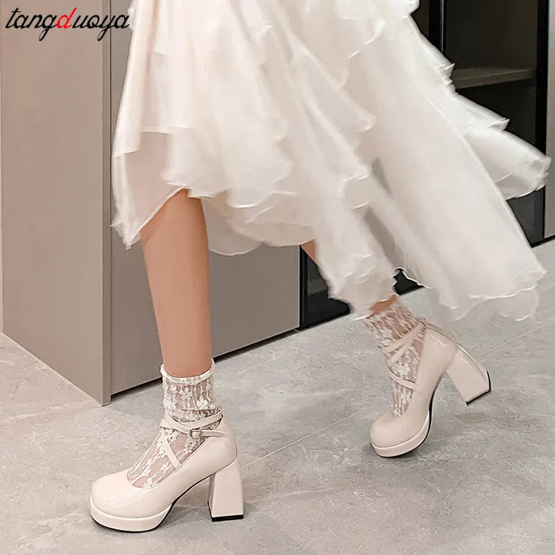 Women's summer Footwear on Heeled Shoes Woman New Elegant Vintage Lolita Mary Jane shoes Black Round Toe High Heels party shoes